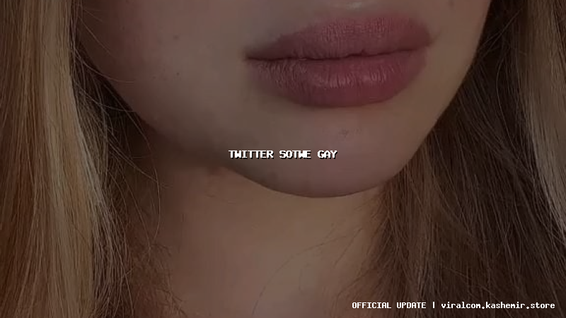 twitter sotwe gay